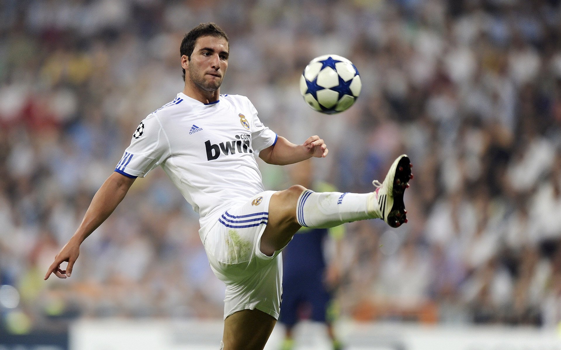 枫叶军团七人制橄榄球赛中展现速度优势